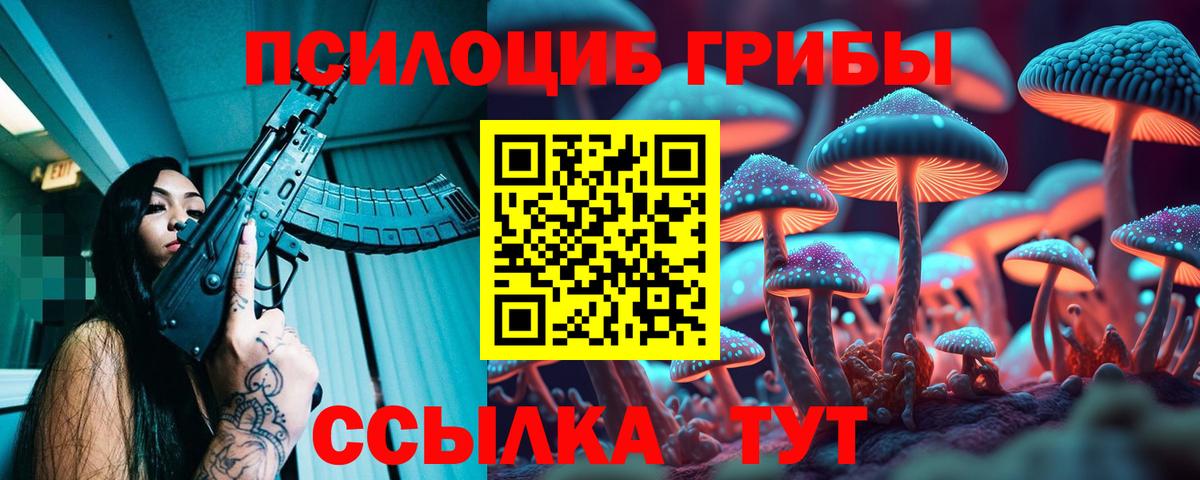 Псилоцибиновые грибы мухоморы  Вход с VPN  Заводоуковск 